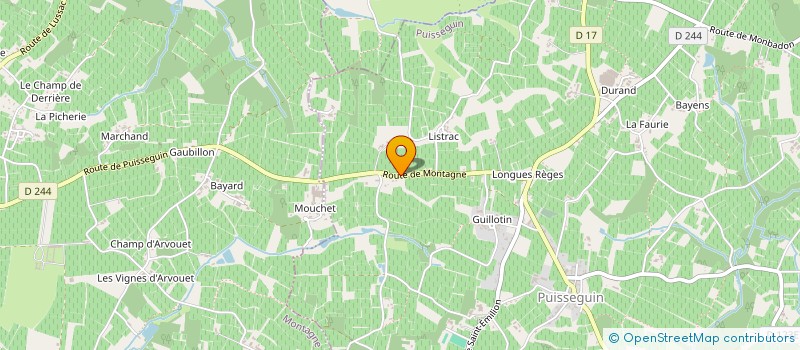 localisation de l'entreprise SCEA VIGNOBLES PALUDETTO ET FILS  PUISSEGUIN