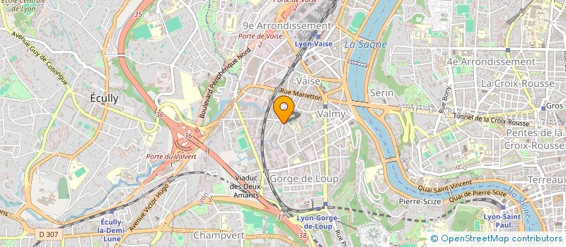 localisation de l'entreprise SCENES à LYON