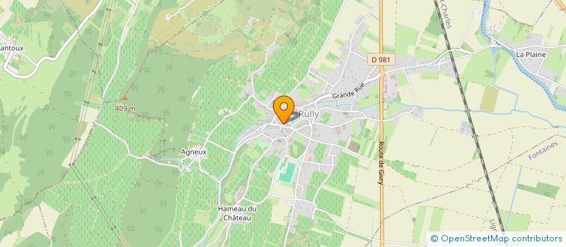 localisation de l'entreprise SCEV DOMAINE ALEXANDRE PERE ET FILS à REMIGNY