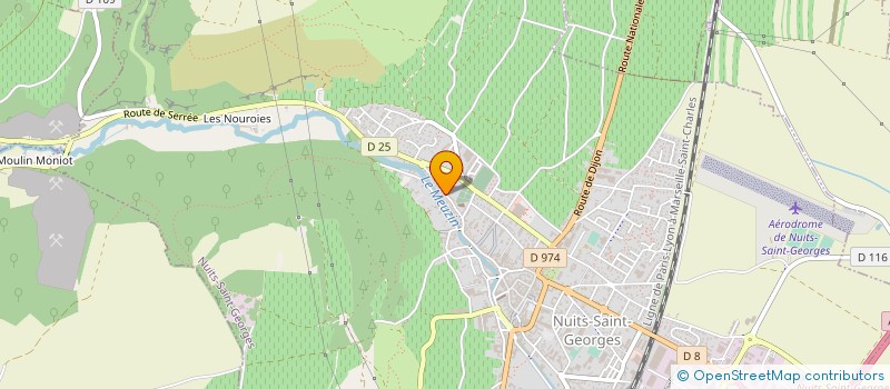 localisation de l'entreprise SCEV DOMAINE CHAUVENET CHOPIN à NUITS-SAINT-GEORGES