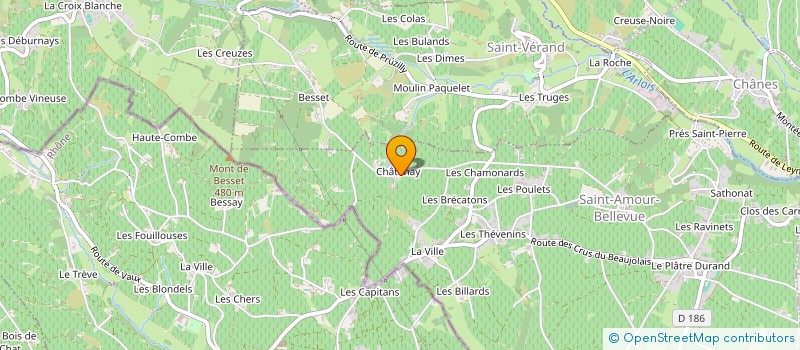 localisation de l'entreprise SCEV EN BESSET à SAINT-AMOUR-BELLEVUE