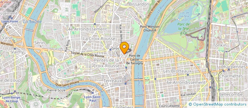 localisation de l'entreprise SCHERZO VIVACE à LYON