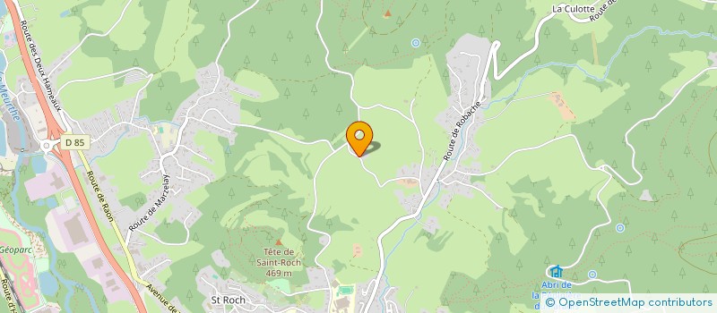 localisation de l'entreprise SCHWOOB FORETS SARL  SAINT-DIE-DES-VOSGES