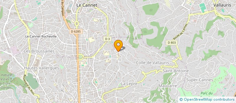 localisation de l'entreprise SCI 1 AVENUE VAN LOO à CANNES
