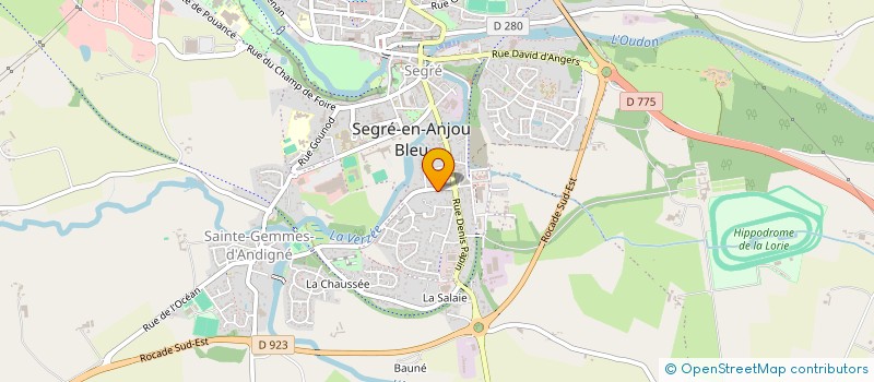 localisation de l'entreprise SCI 11 AVENUE DU GENERAL D'ANDIGNE à SEGRE-EN-ANJOU BLEU