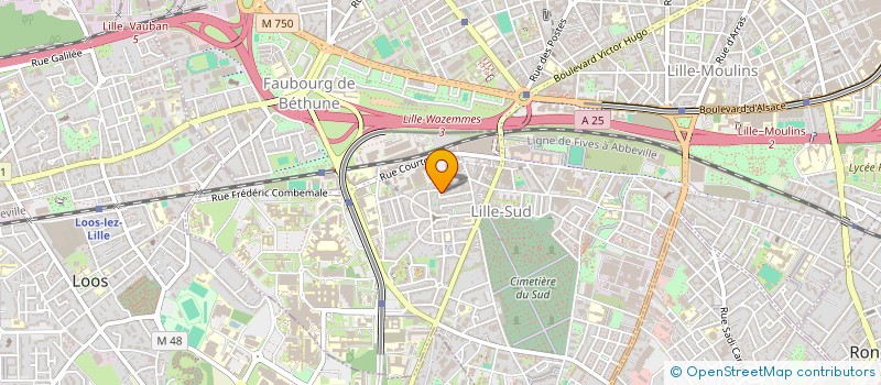 localisation de l'entreprise SCI 19 LIBERTE à LILLE