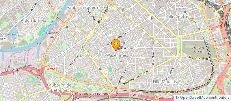 localisation de l'entreprise SCI 22 RUE DES SARRAZINS à LILLE