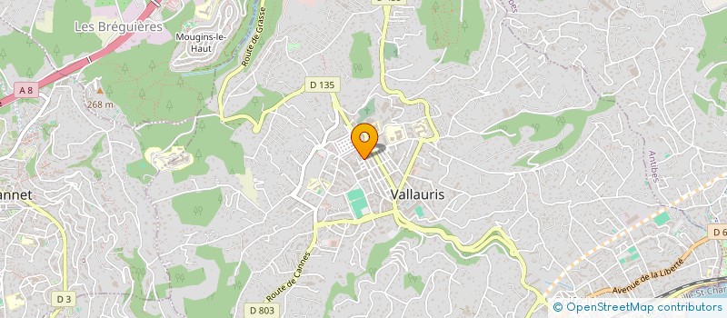 localisation de l'entreprise SCI 27 CLEMENCEAU à VALLAURIS