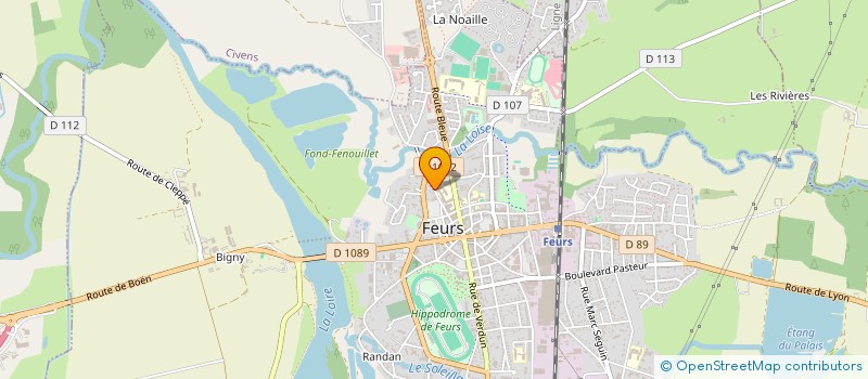 localisation de l'entreprise SCI 2RMEL  FEURS