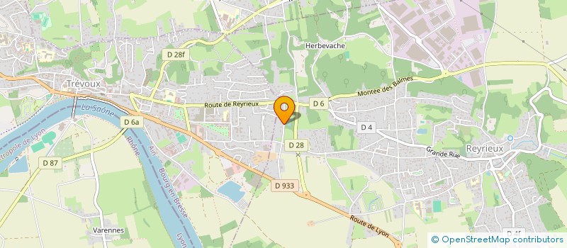 localisation de l'entreprise SCI 317 COURS EMILE ZOLA à REYRIEUX
