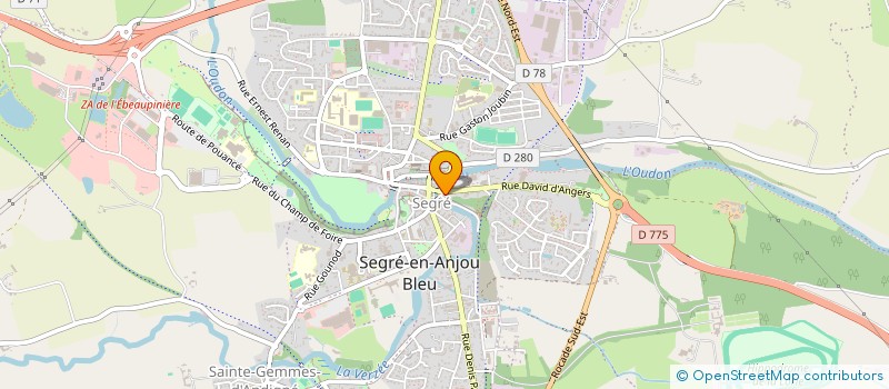 localisation de l'entreprise SCI 8 RUE DAVID D ANGERS à SEGRE-EN-ANJOU BLEU