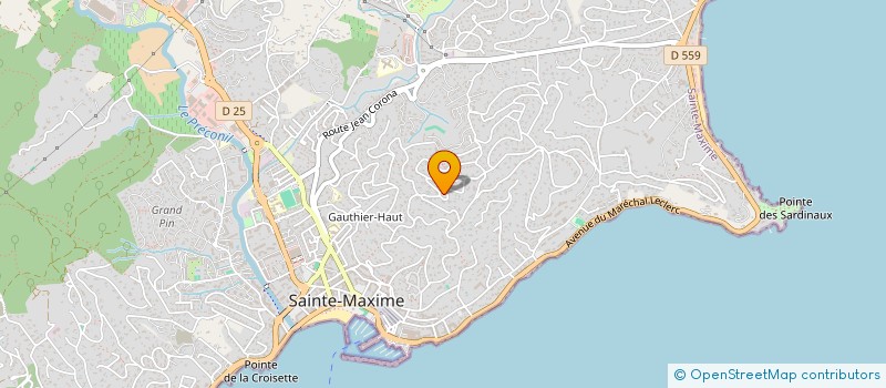 localisation de l'entreprise SCI 8 RUE DES GARDES à SAINTE-MAXIME