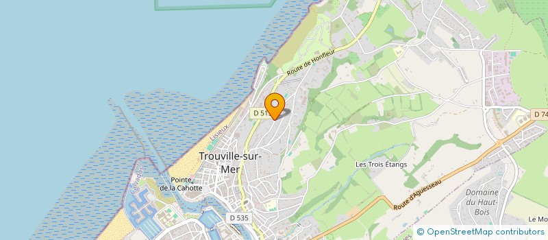 localisation de l'entreprise SCI A.C.T. à TROUVILLE-SUR-MER
