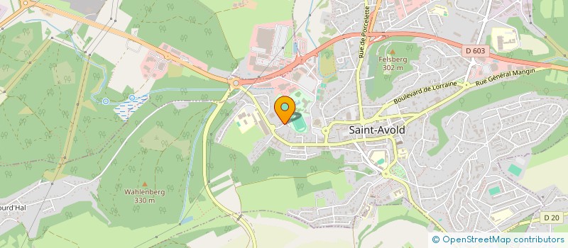 localisation de l'entreprise SCI ALAIN ET RACHEL IMMO  SAINT-AVOLD