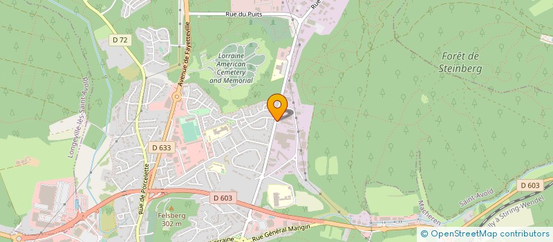 localisation de l'entreprise SCI AMBROSINI à SAINT-AVOLD
