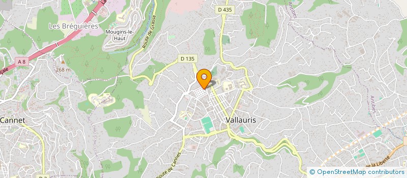 localisation de l'entreprise SCI ANDO à VALLAURIS