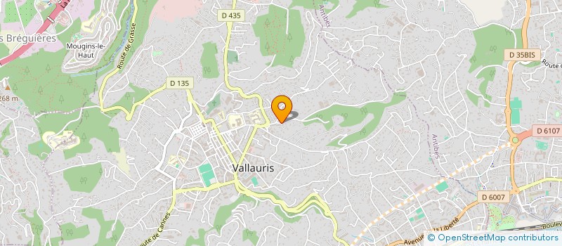 localisation de l'entreprise SCI ARJOLA à VALLAURIS