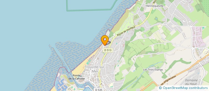 localisation de l'entreprise SCI ATTRIBUTION LE PETIT NORMANDY à TROUVILLE-SUR-MER