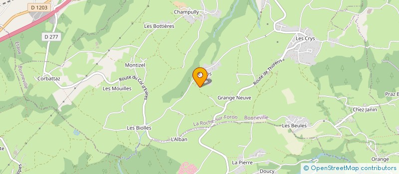 localisation de l'entreprise SCI AU COEUR DES BIOLLES  LA ROCHE-SUR-FORON