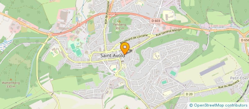 localisation de l'entreprise SCI AVENIR 50  SAINT-AVOLD