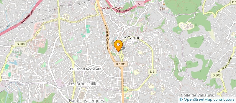 localisation de l'entreprise SCI BARON-19 à LE CANNET