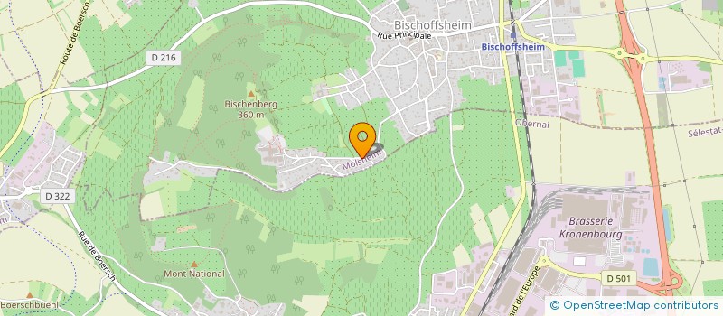 localisation de l'entreprise SCI BERAN  BISCHOFFSHEIM