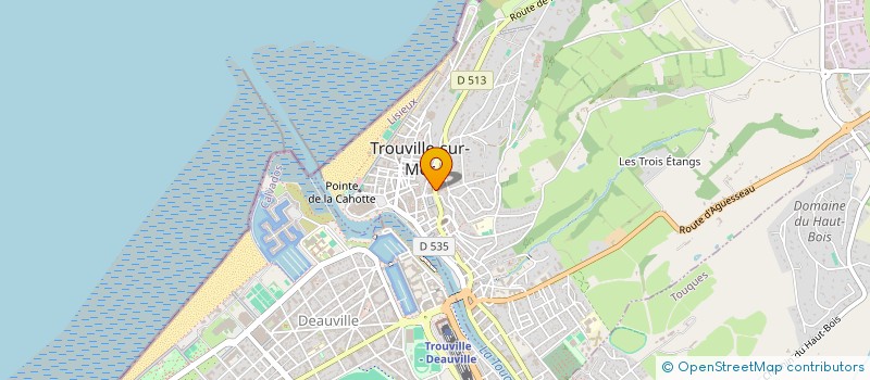 localisation de l'entreprise SCI BETTY BOOP  TROUVILLE-SUR-MER