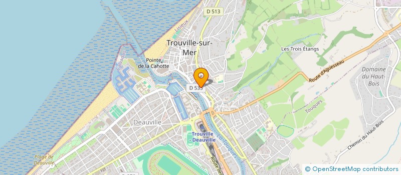 localisation de l'entreprise SCI BIAIS  TROUVILLE-SUR-MER