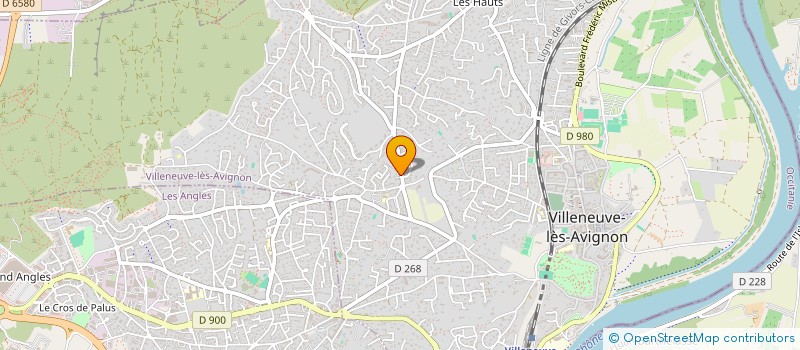 localisation de l'entreprise SCI BIG SUR  VILLENEUVE-LES-AVIGNON