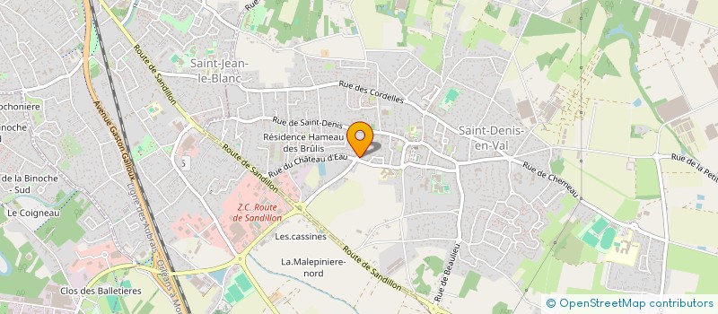 localisation de l'entreprise SCI BIRDIE à SAINT-DENIS-EN-VAL