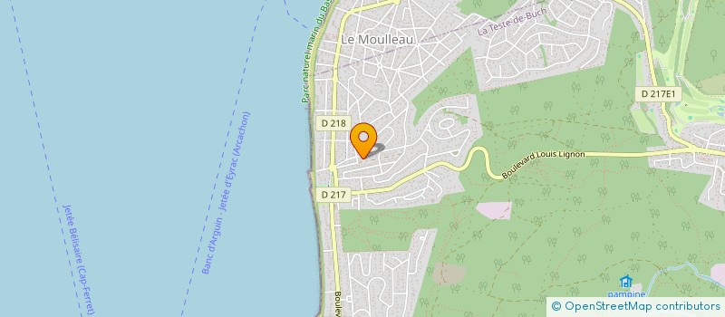 localisation de l'entreprise SCI BOIZIS AND CO à LA TESTE-DE-BUCH