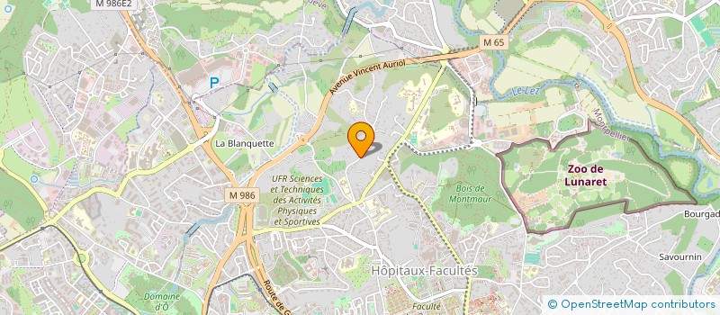 localisation de l'entreprise SCI BONAVISTA à MONTPELLIER