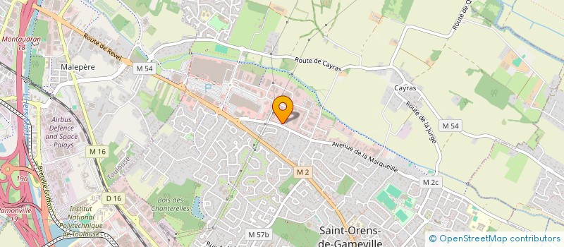 localisation de l'entreprise SCI BORG  TOULOUSE