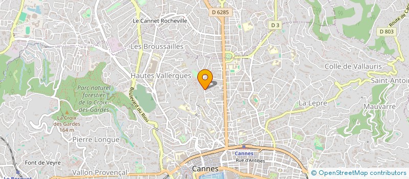 localisation de l'entreprise SCI BRI (BAHIA RICHARD INVESTMENT)  CANNES