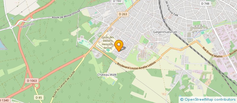 localisation de l'entreprise SCI BRUHA  HAGUENAU