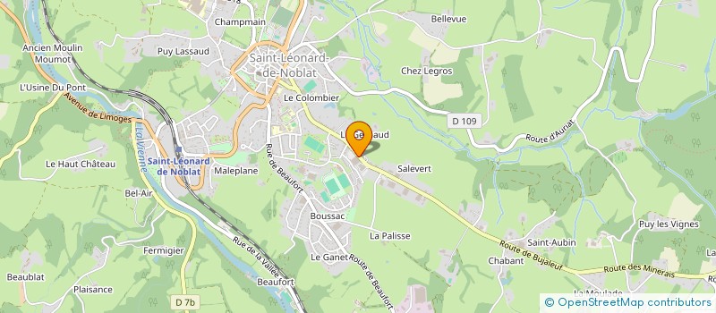 localisation de l'entreprise SCI BRUTINES à SAINT-LEONARD-DE-NOBLAT