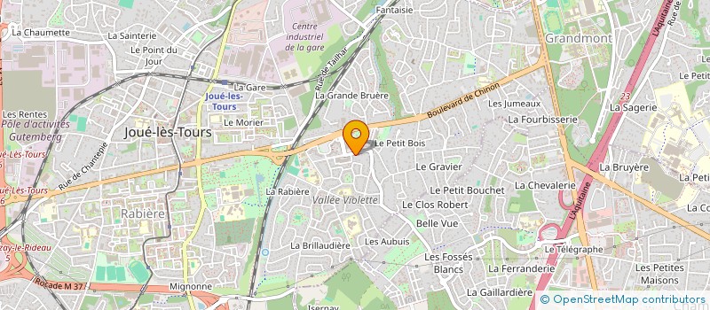 localisation de l'entreprise SCI CABINET MEDICALE LA VALLEE VIOLETTE à JOUE-LES-TOURS