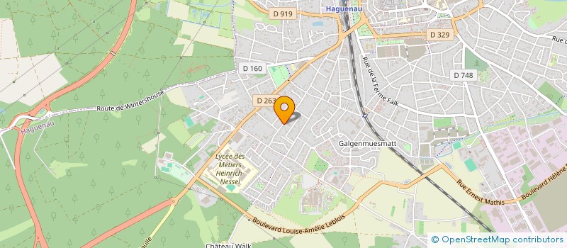 localisation de l'entreprise SCI CAIMAN RESORTS  HAGUENAU