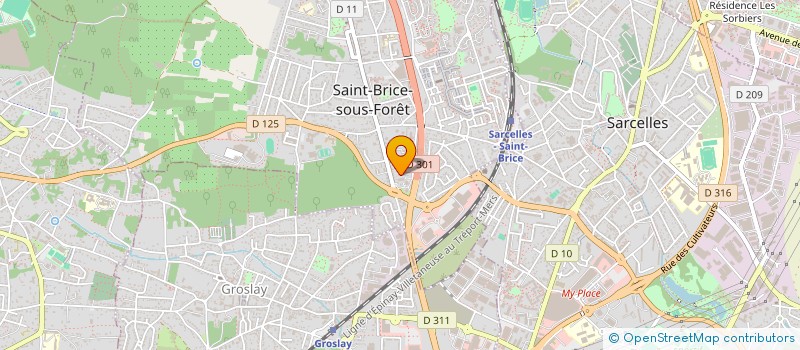 localisation de l'entreprise SCI CAMAEL à SAINT-BRICE-SOUS-FORET