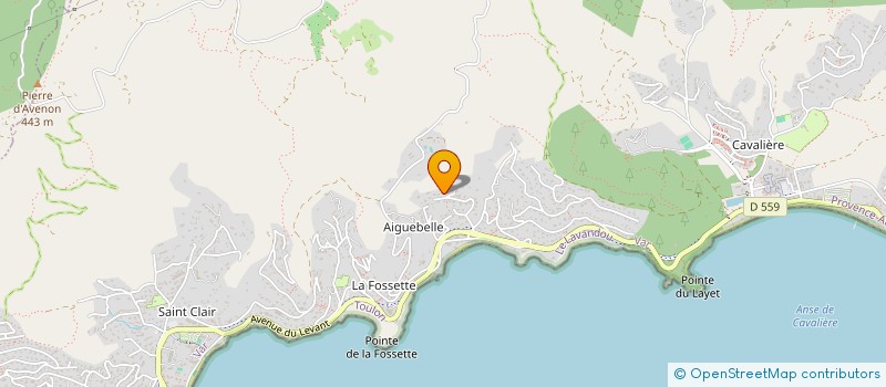 localisation de l'entreprise SCI CANNELLE à LE LAVANDOU