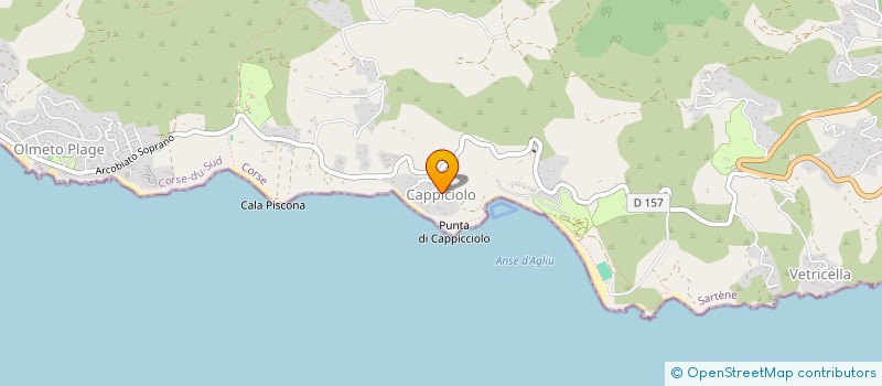 localisation de l'entreprise SCI CAPPI à OLMETO