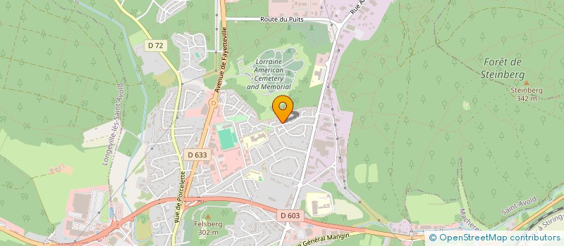 localisation de l'entreprise SCI CARPE DIEM  SAINT-AVOLD