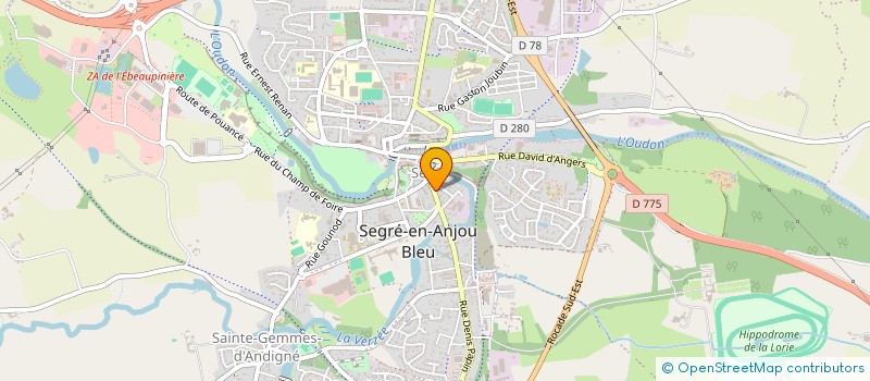 localisation de l'entreprise SCI CEJAC à SEGRE-EN-ANJOU BLEU