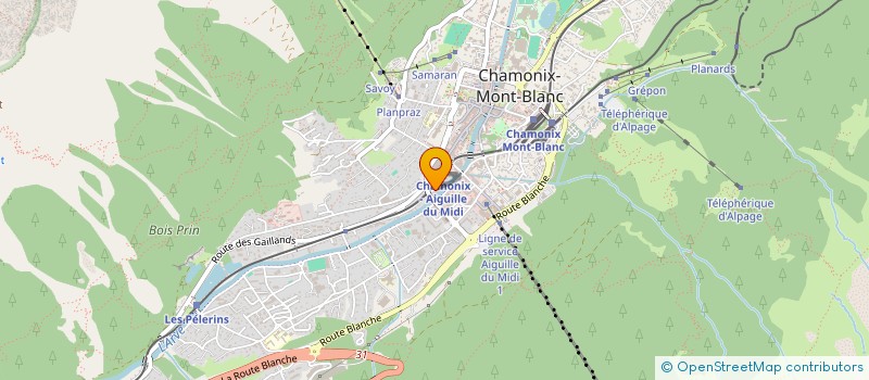 localisation de l'entreprise SCI CENDRE 4 à CHAMONIX-MONT-BLANC