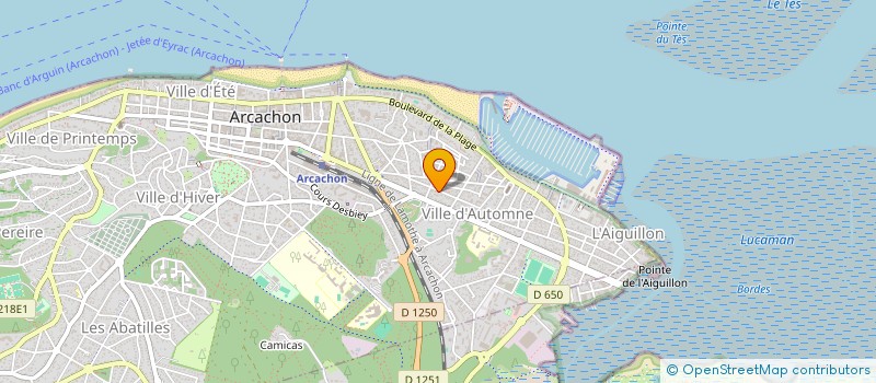 localisation de l'entreprise SCI CHAMBOULE-TOUT  ARCACHON