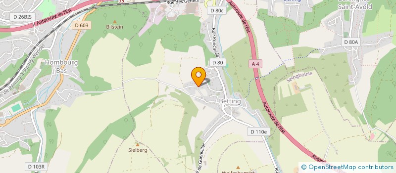 localisation de l'entreprise SCI CHAMTHE  BETTING