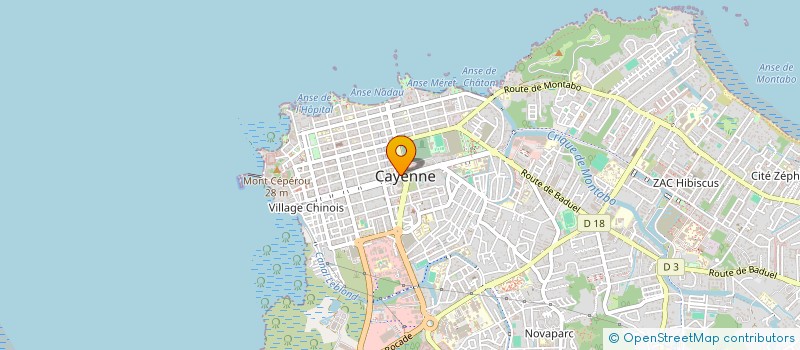 localisation de l'entreprise SCI CHANG ROQUE LING  CAYENNE