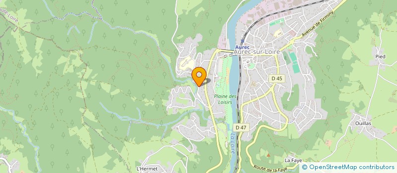 localisation de l'entreprise SCI CHANTELOIRE  AUREC-SUR-LOIRE