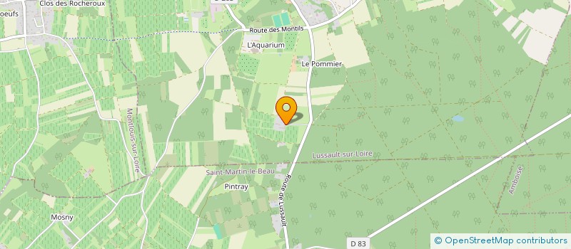 localisation de l'entreprise SCI CHATEAU DE PINTRAY  LUSSAULT-SUR-LOIRE