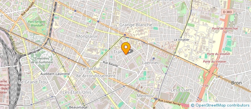 localisation de l'entreprise SCI CONSUELO  LYON